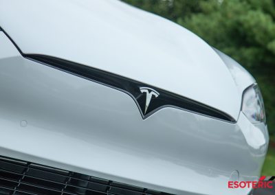 Tesla Model S Plaid Esoteric Detail