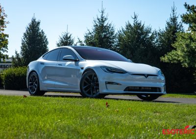 Tesla Plaid Model S Esoteric Detail