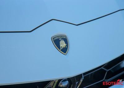 Lamborghini Urus PPF Wrap