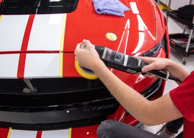 Ford Mustang Shelby GT500 Paint Protection Film