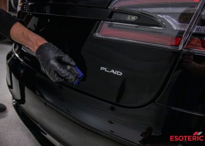 Tesla Model S Plaid PPF Wrap 18 1