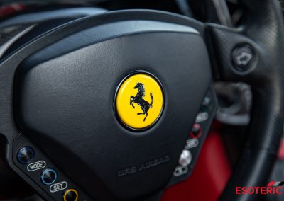 Ferrari Enzo PPF Wrap 071