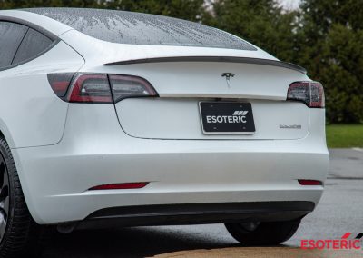 Tesla Model 3 PPF Wrap 18