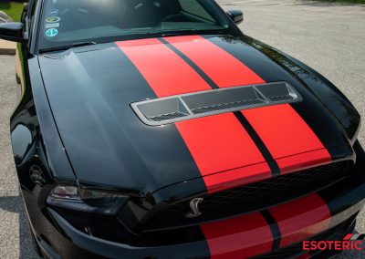 Ford GT500 Paint Correction 16