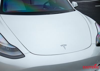 Tesla Model 3 PPF Wrap 23