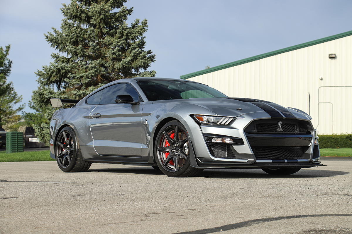 Mustang GT500 - Windshield Protective Film