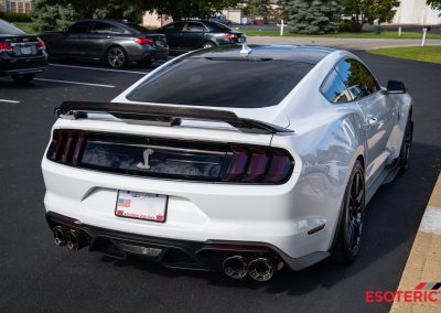 Ford Shelby GT500 PPF Wrap 10