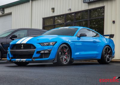 Ford Shelby GT 500 PPF Wrap 30