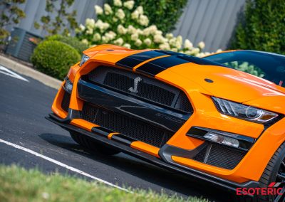 Ford Shelby GT500 PPF Wrap 29