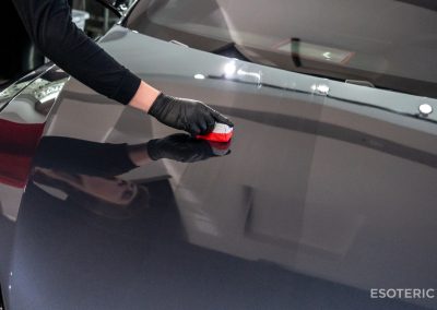 Tesla Model S PPF Wrap 12