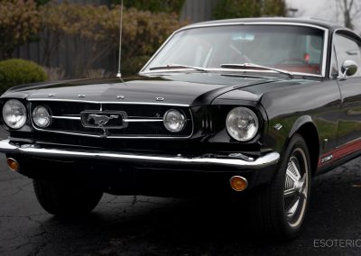 Mustang Paint Correction 06