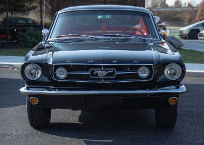 Mustang Paint Correction 29