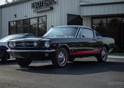 Mustang Paint Correction 30